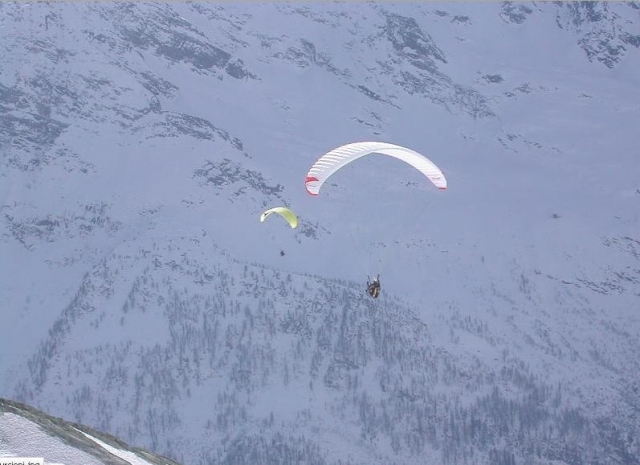 Fliegen auf den Skipisten in Macugnaga 